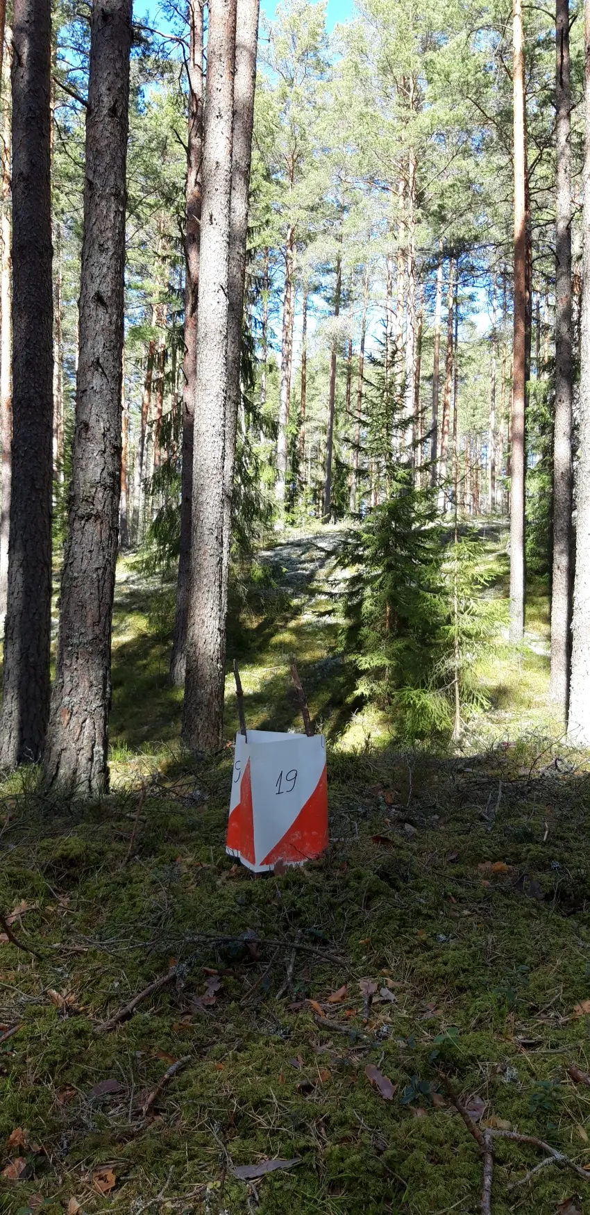 Viss turpinās arī  Niedrāja ezera poligonā